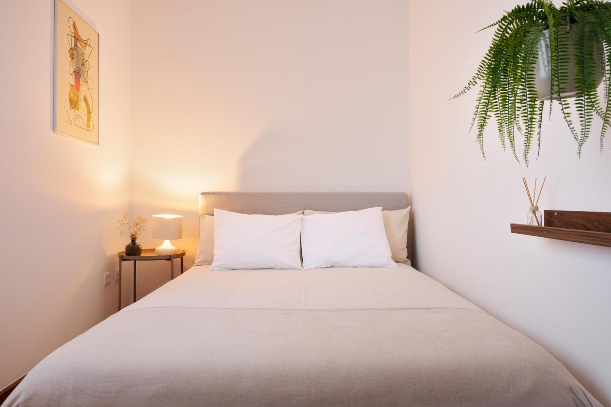 ! Bright 2Br Hammock Flat ! Praca Da Republica Apartment Порто Екстериор снимка